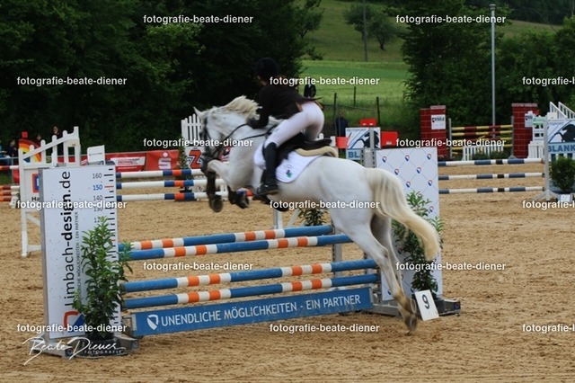 OHT1451 | Fotografie, Tiere, Hunde, Katzen, Pferde, Sportfotografie, Fotosession, Tierfotografie, Turnierfotografie, Fotografin, Fotograf - Realisiert mit Pictrs.com