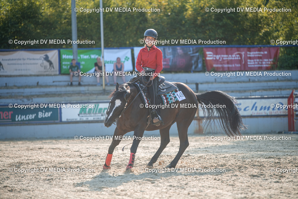 EWP_7137 | dv-media-shop - Realisiert mit Pictrs.com