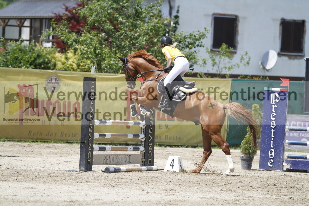 _MG_5377 | equestrian-live-com
