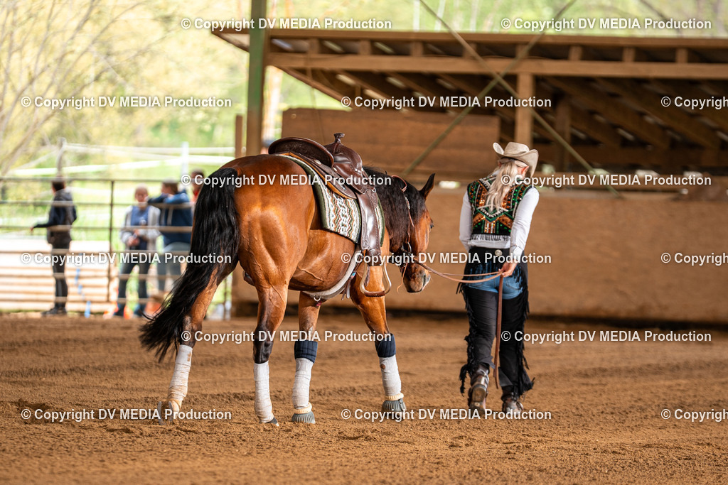 Balingen Tag 3-1159 | dv-media-shop - Realisiert mit Pictrs.com