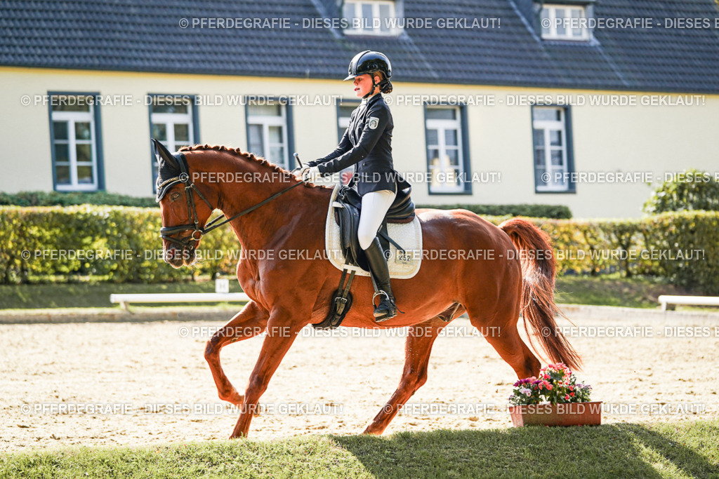 DSC08577 | Pferdegrafie