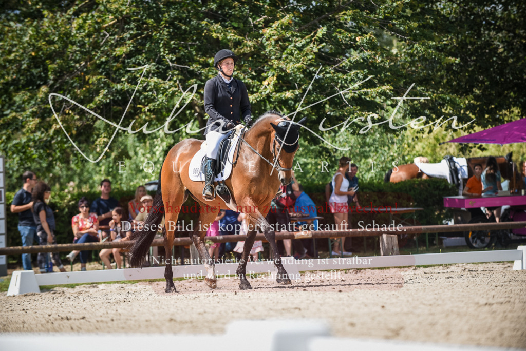 DSC_9033 | Pferde- und Turnierfotografie in Westsachsen. Pferdeportraits, Auftragszeichnungen und intuitive Kunst.