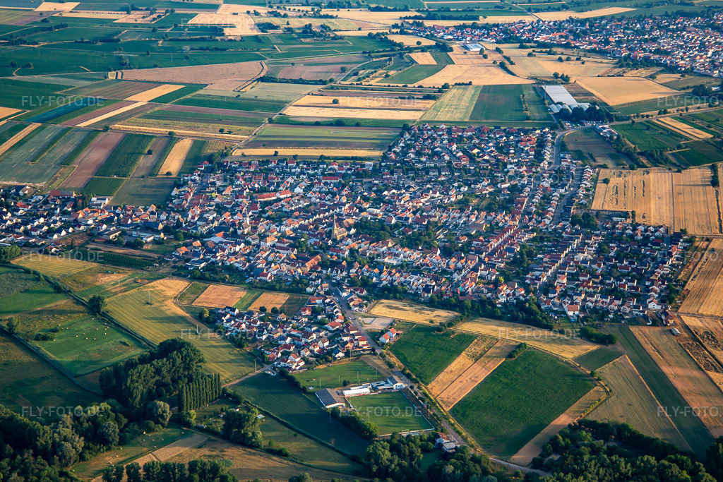 Luftbild: Ortsansicht von Osten am Morgen im Ortsteil Mechtersheim in Römerberg im Bundesland Rheinland-Pfalz in Deutschland. Foto: IMG_136812.jpg vom 24.06.2023 durch Werner Riehm/FLY-FOTO.de