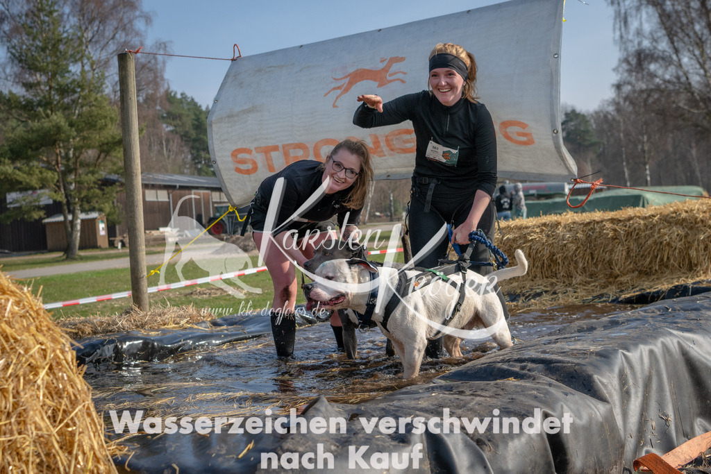 _ZZ90844 | kk-dogfotos
