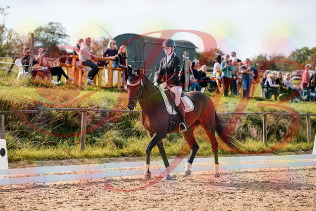 2026_10_03_Siefer-Hof_132137_Z63_83390595 | Professionelle Reitsport-, Turnier- und Eventfotografie von Robert Broda. Galerien mit ausgewählten und bearbeiteten Bildern direkt online ansehen und bestellen.
