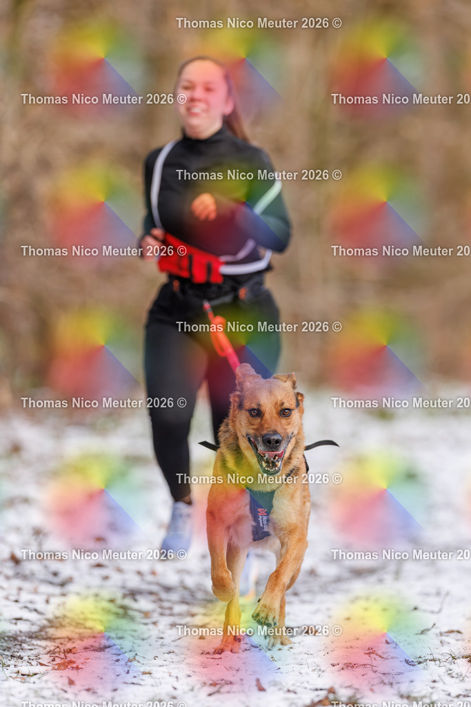 Thomas_Nico_Meuter(C)_223A8549 | Bild von Thomas Nico Meuter - Realisiert mit Pictrs.com