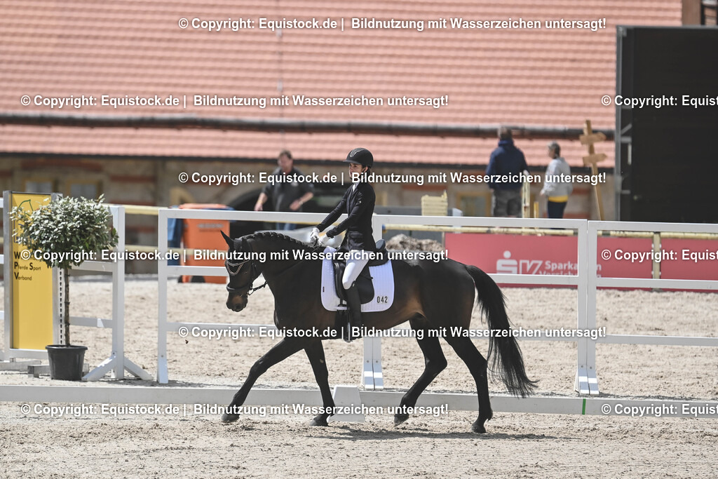 20250516_CCI2_Dressur_0173 | Foto: Thomas Hartig