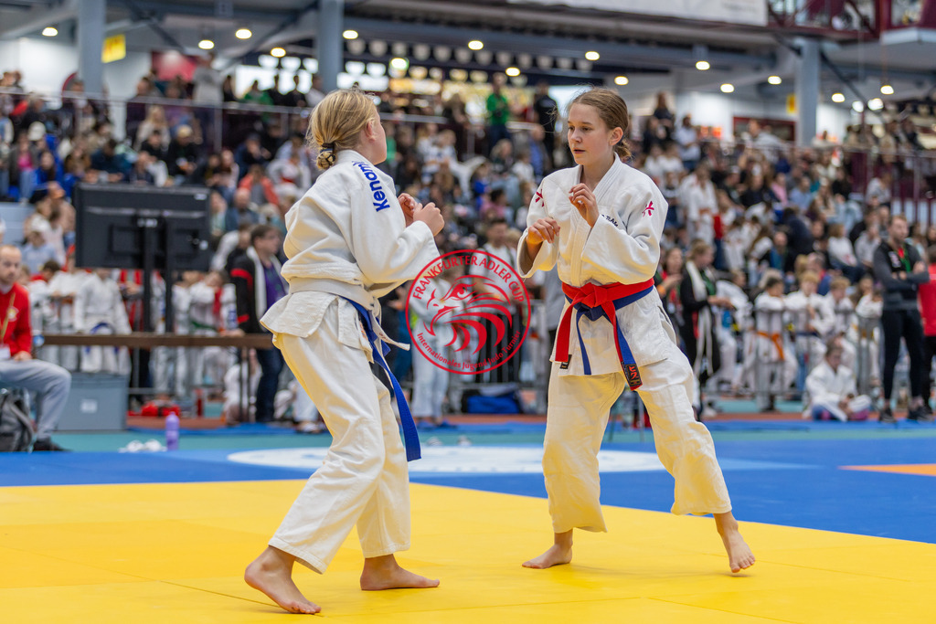 Internationaler Adler Cup 2024 | Foto vom Internationalen Adler Cup Judo Turnier im Sport- und Freizeitzentrum Kalbach im Oktober 2024 - Realisiert mit Pictrs.com