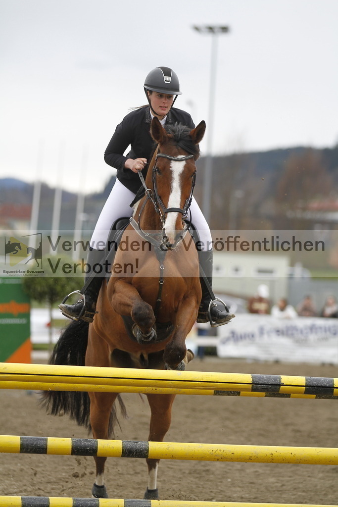 _MG_6011 | equestrian-live-com