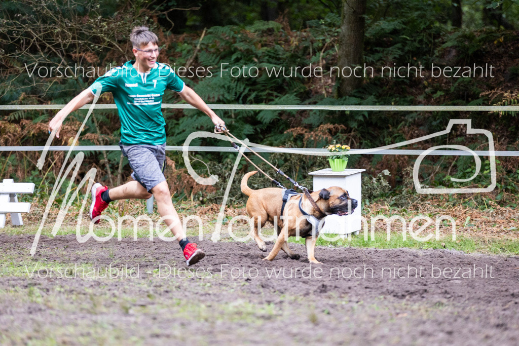 HB-JaD-062 | MomenTaufnahmen Pferdesportfotos