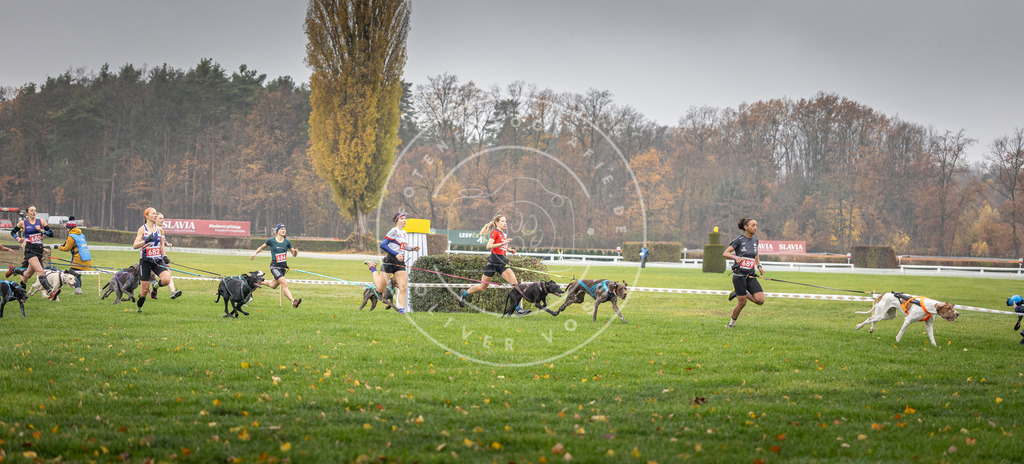 CaniXpix_DV3A8729 | Hundefotografie, Tierfotograf, Pfotenfotografie, Fotoshooting Hund, Hunde Portrait, Hundesport, Hundeportraits, Heideshooting, Hunde, Sportfotograf, Hundefotograf, Turnierhundsport, THS,  - Realisiert mit Pictrs.com