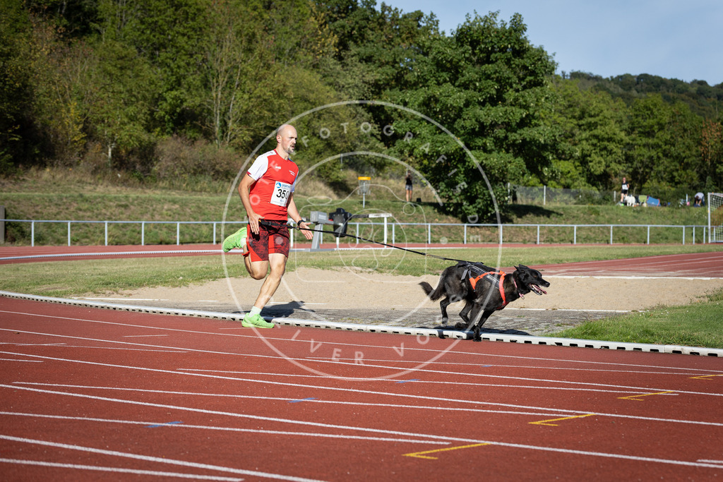 Pfotenfotografie_DV3A9391 | Hundefotografie, Tierfotograf, Pfotenfotografie, Fotoshooting Hund, Hunde Portrait, Hundesport, Hundeportraits, Heideshooting, Hunde, Sportfotograf, Hundefotograf, Turnierhundsport, THS,  - Realisiert mit Pictrs.com