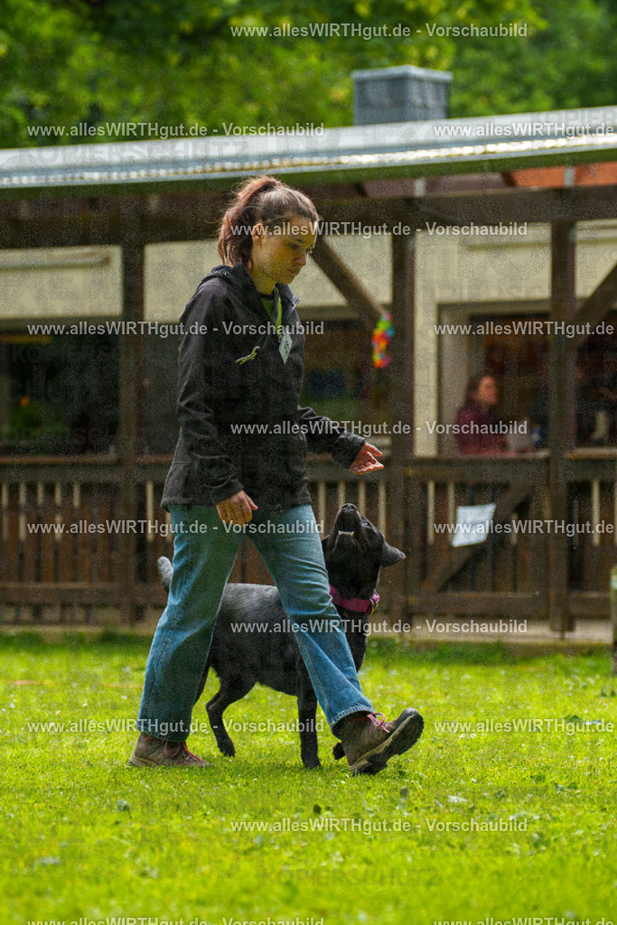 @allesWIRTHgut_Tierfotografie - www.allesWIRTHgut.de - 101647-7R508278 | Professionelle Tierfotografie in Mönchengladbach von Daniel Wirth (allesWIRTHgut). Liebevolle & natürliche Bilder von Hunden & Katzen für unvergessliche Erinnerungen.