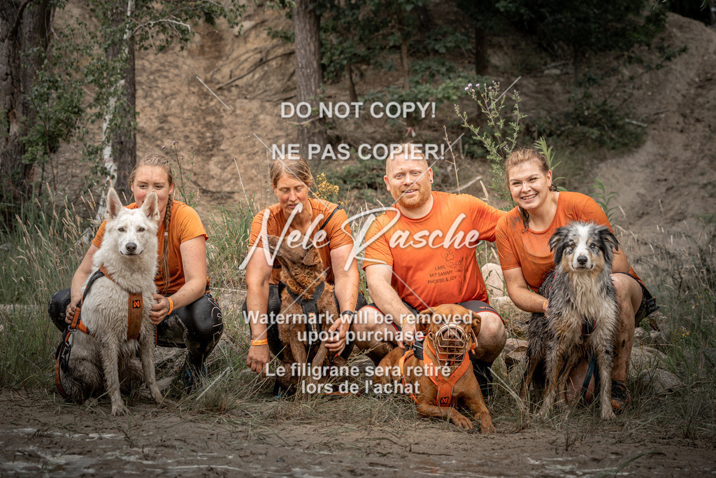 nelerasche_sa1230-1300_50 | nelerasche