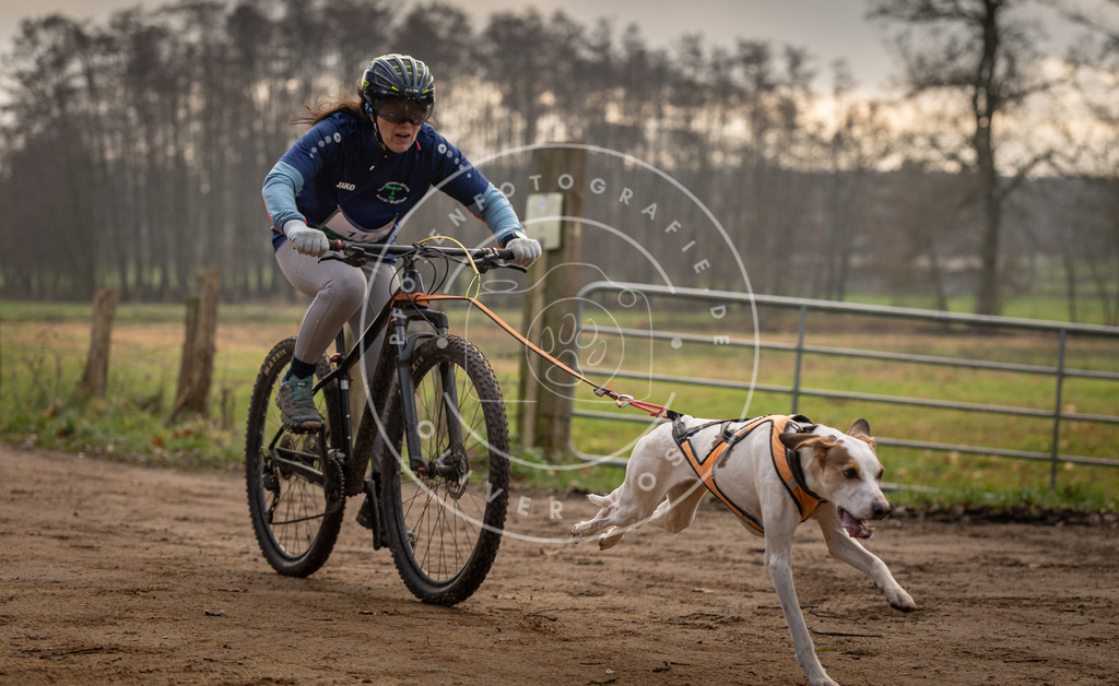 Pfotenfotografie_DV3A1771 | Hundefotografie, Tierfotograf, Pfotenfotografie, Fotoshooting Hund, Hunde Portrait, Hundesport, Hundeportraits, Heideshooting, Hunde, Sportfotograf, Hundefotograf, Turnierhundsport, THS,  - Realisiert mit Pictrs.com
