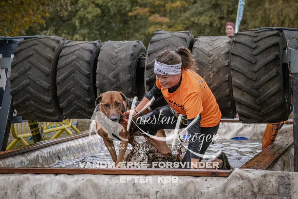 1611_ZZ92865 | kk-dogfotos