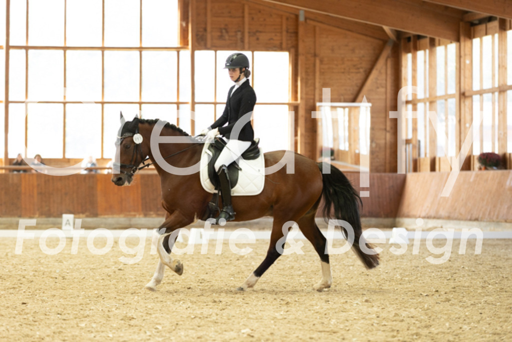 IMG_6206 | Creatify Fotografie