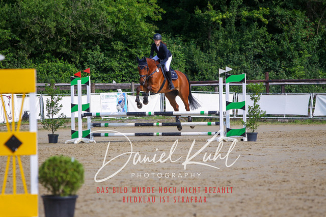 DKP41142 | Turniersportfotografie; Pferdefotografie; Dressurfotografie