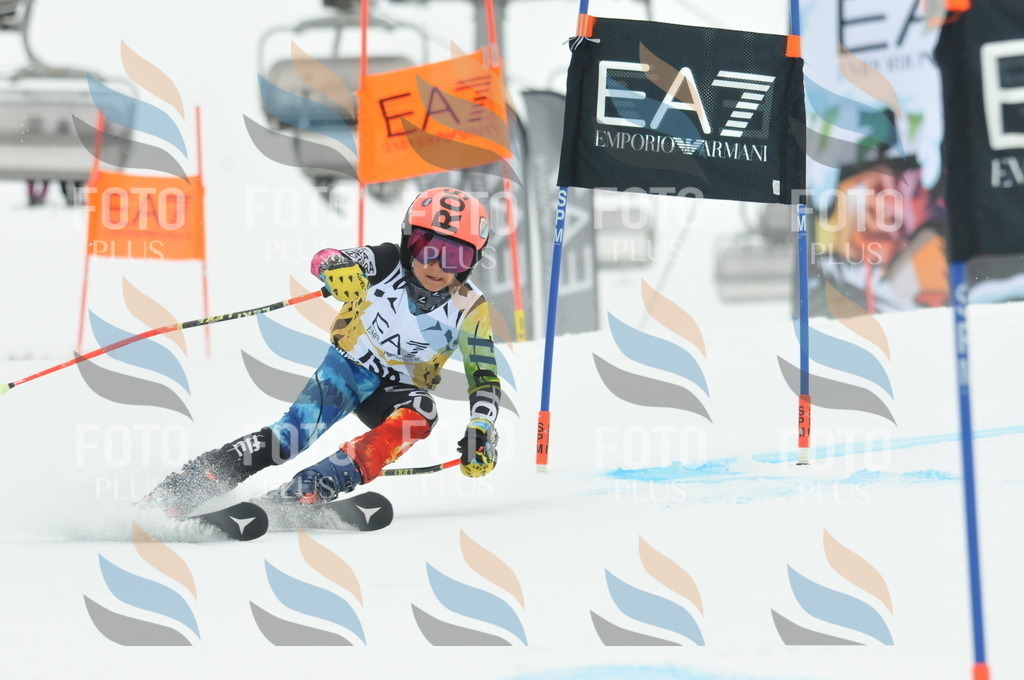 DSC_8496 | holidayphoto