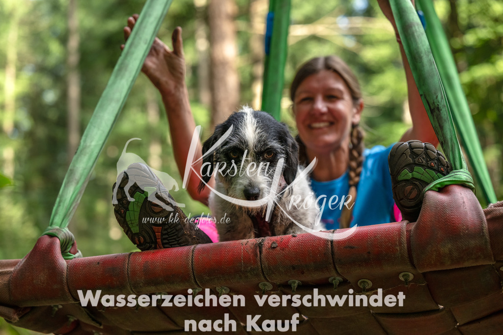 1105_ZZ94065-Bearbeitet | kk-dogfotos