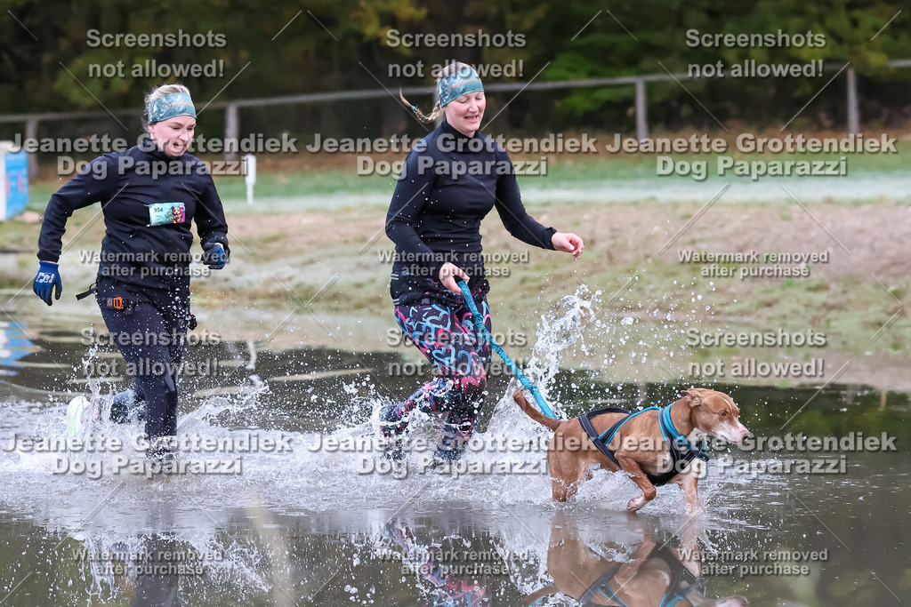 Dog Paparazzi - Strongdog 10-25-6094 | Dog Paparazzi Jeanette Grottendiek Fotografie & Videografie - Realisiert mit Pictrs.com