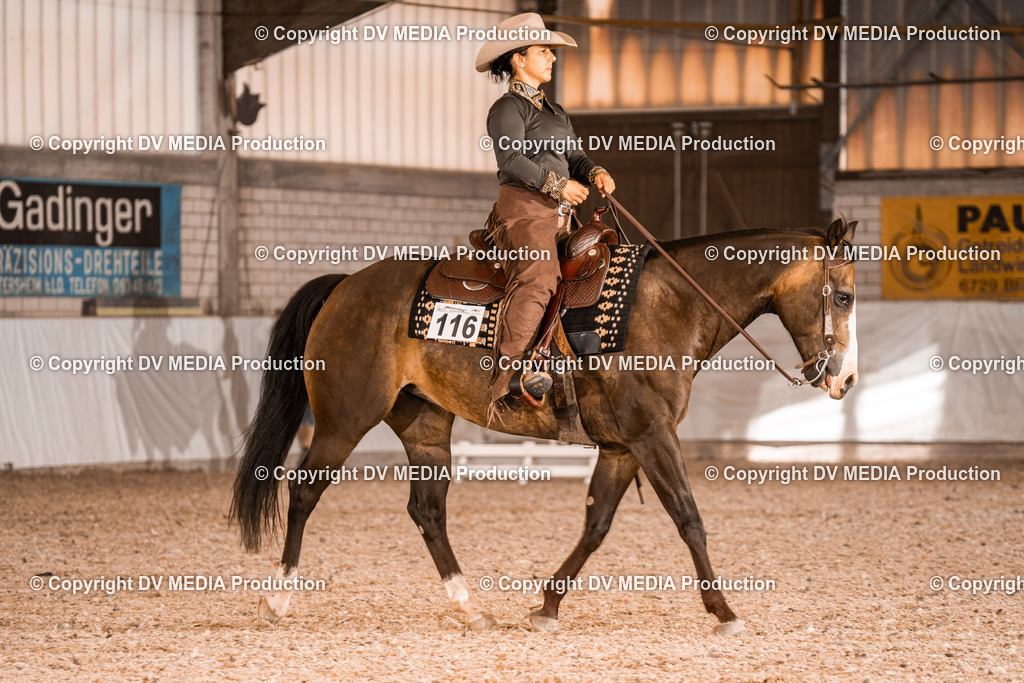 ZH100188 | dv-media-shop - Realisiert mit Pictrs.com