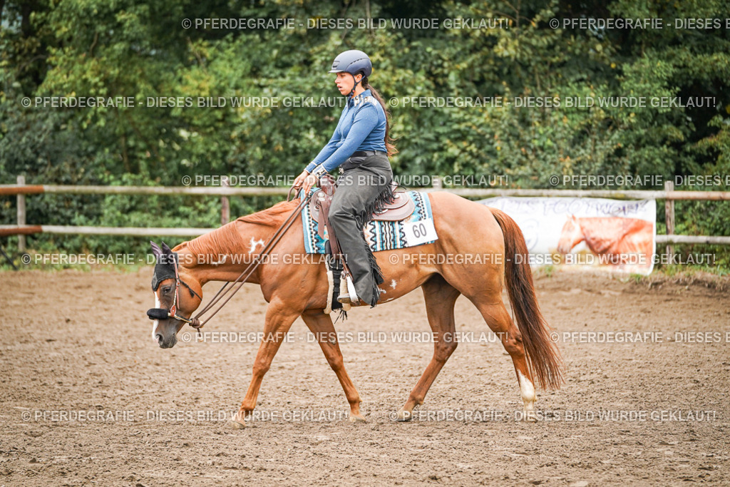 DSC02279 | Pferdegrafie