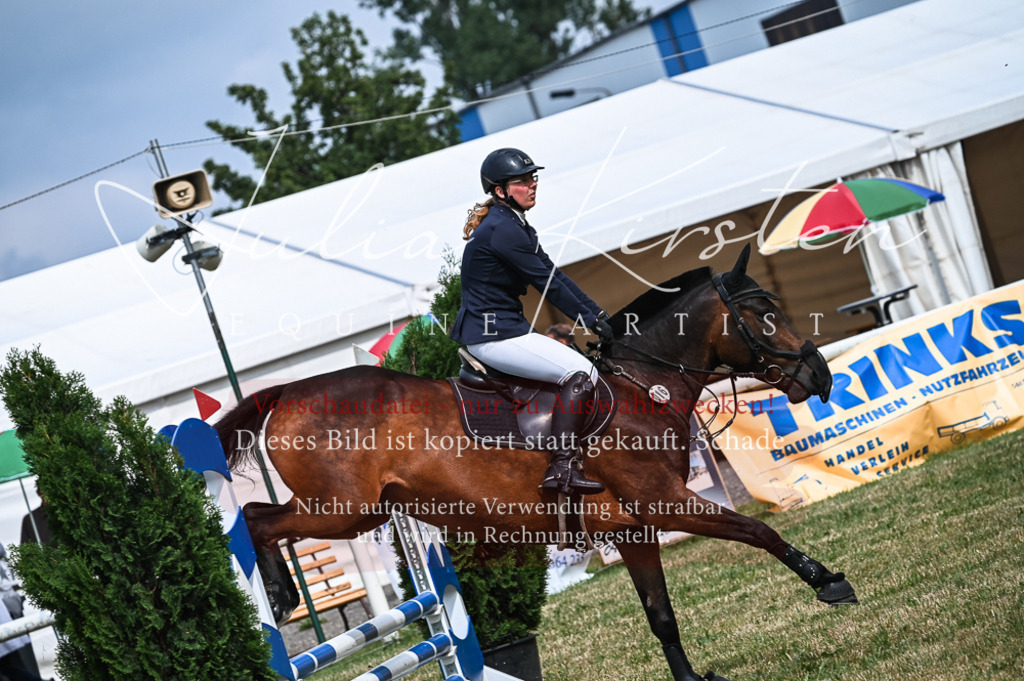 DSC_8249 | Pferde- und Turnierfotografie in Westsachsen. Pferdeportraits, Auftragszeichnungen und intuitive Kunst.