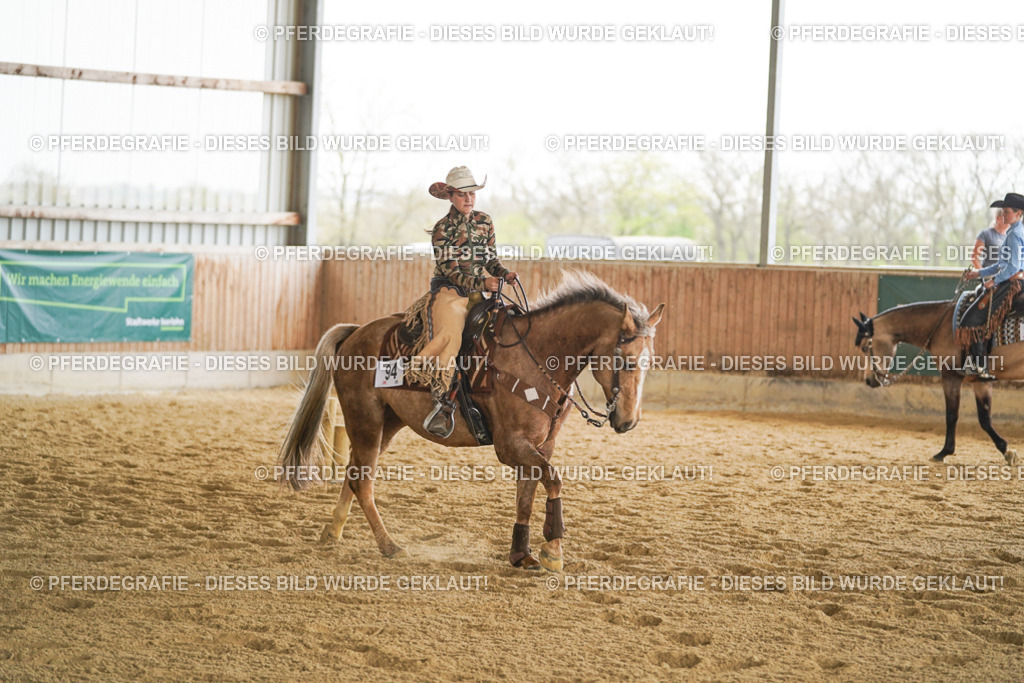 DSC03356 | Pferdegrafie