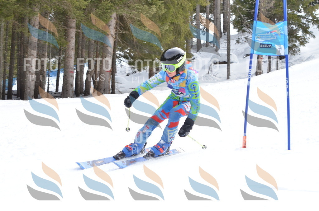 C5932 | holidayphoto