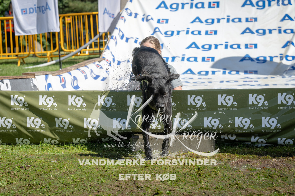 1208_ZZ94978 | kk-dogfotos