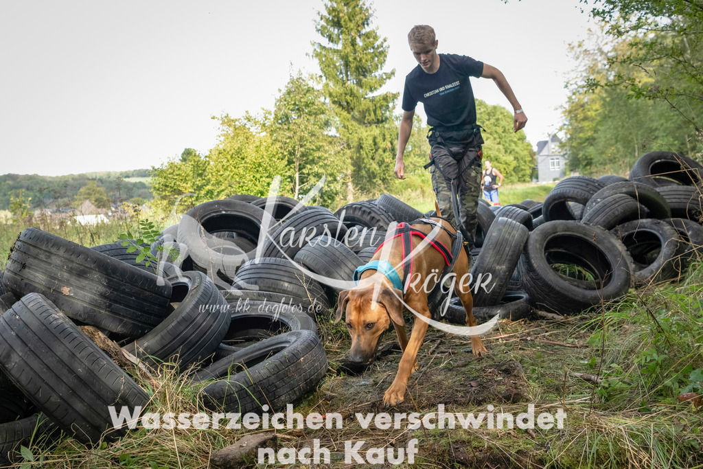 1513_ZZ91466-Bearbeitet | kk-dogfotos