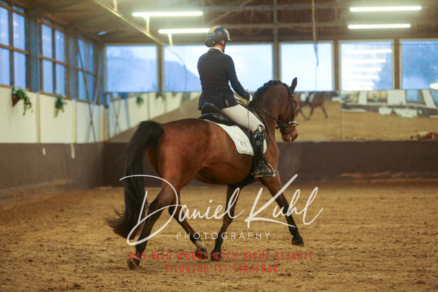 IMG_7003 | Turniersportfotografie; Pferdefotografie; Dressurfotografie