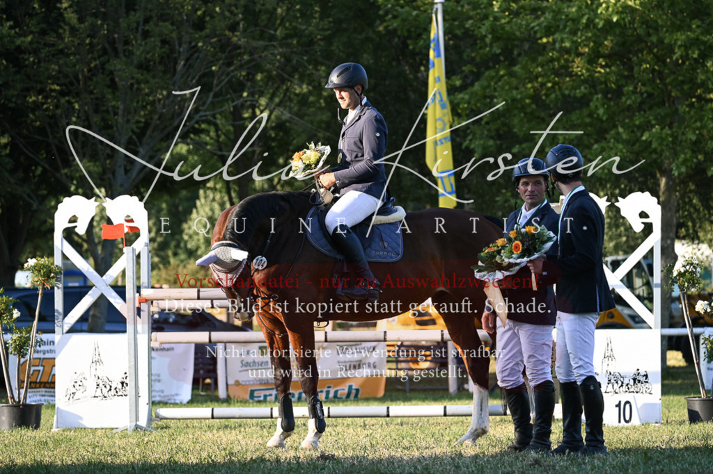 DSC_2035 | Pferde- und Turnierfotografie in Westsachsen. Pferdeportraits, Auftragszeichnungen und intuitive Kunst.