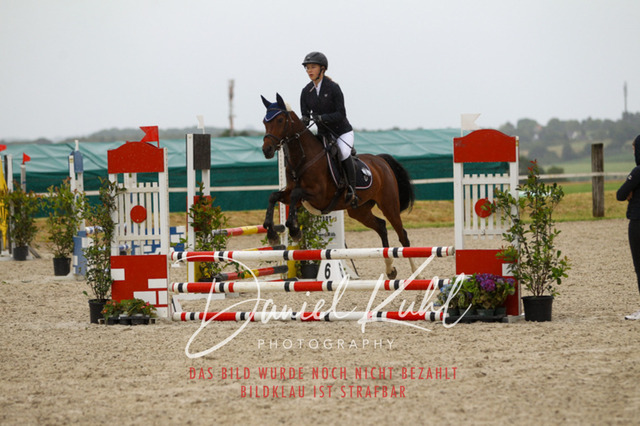 DKP47277 | Turniersportfotografie; Pferdefotografie; Dressurfotografie