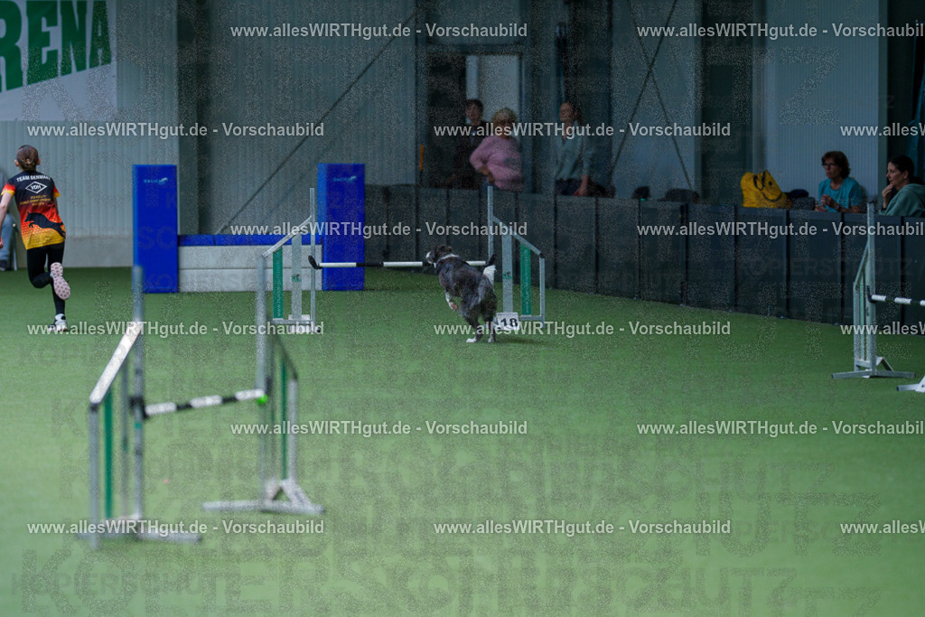 @allesWIRTHgut_Tierfotografie - www.allesWIRTHgut.de - 2604261122-7R509733 | Professionelle Tierfotografie in Mönchengladbach von Daniel Wirth (allesWIRTHgut). Liebevolle & natürliche Bilder von Hunden & Katzen für unvergessliche Erinnerungen.