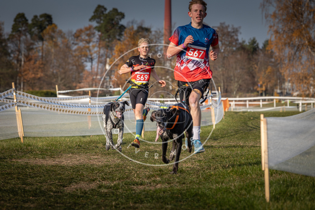 CaniXpix_0L8A9469 | Hundefotografie, Tierfotograf, Pfotenfotografie, Fotoshooting Hund, Hunde Portrait, Hundesport, Hundeportraits, Heideshooting, Hunde, Sportfotograf, Hundefotograf, Turnierhundsport, THS,  - Realisiert mit Pictrs.com