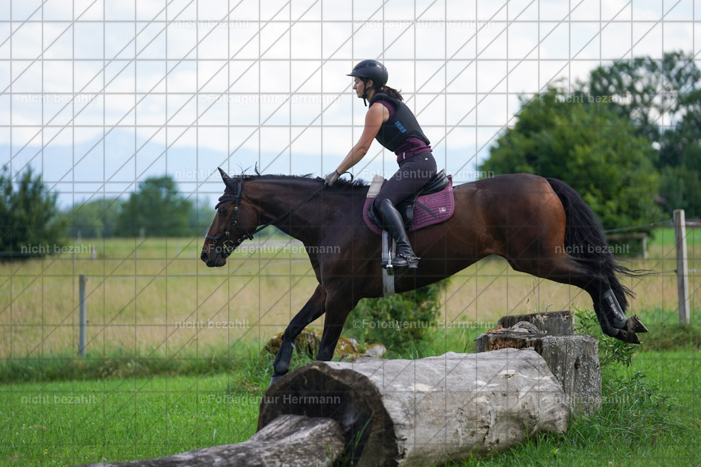 20240622-FAH07708 | Turnierfotografen Bayern, Reitsportbilder aus dem Geländekurs mit Felix Etzel auf dem Gut Waitzacker 2024