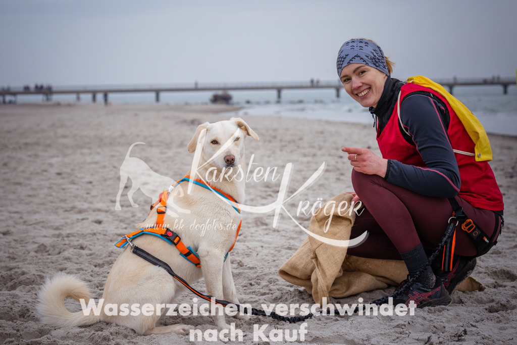 1209_ZZ92271 | kk-dogfotos