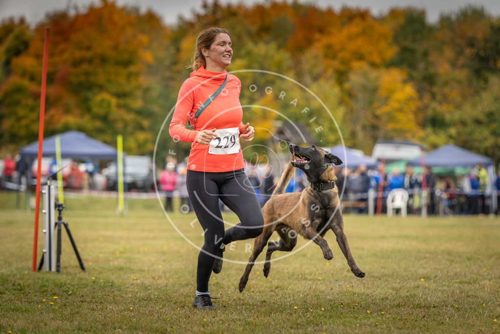 Pfotenfotografie_DV3A4132 | Hundefotografie, Tierfotograf, Pfotenfotografie, Fotoshooting Hund, Hunde Portrait, Hundesport, Hundeportraits, Heideshooting, Hunde, Sportfotograf, Hundefotograf, Turnierhundsport, THS,  - Realisiert mit Pictrs.com