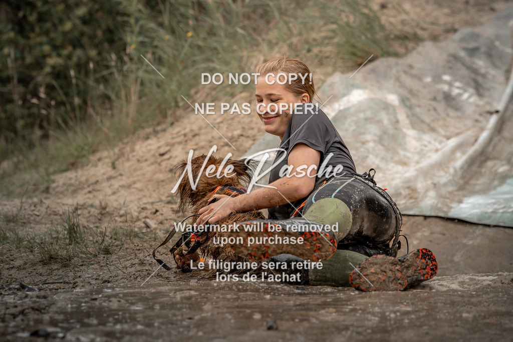 nelerasche_sa1300-1345_254 | nelerasche