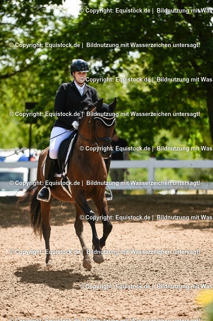 20230716_03_Dressurprfg. Kl.L - Tr._0119 | equistock