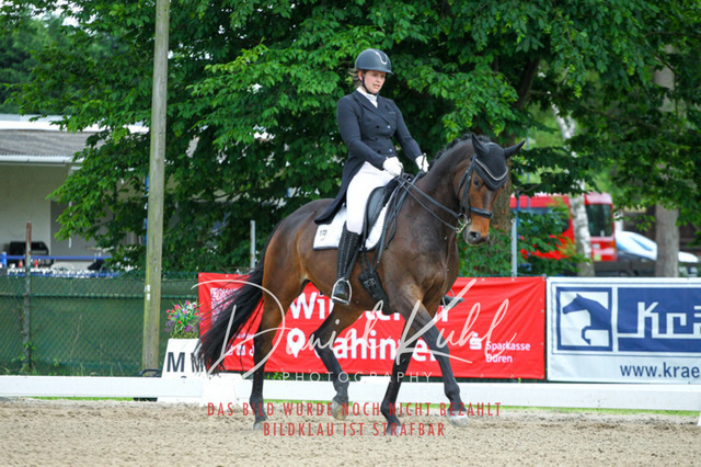DKP41637 | Turnierfotos kaufen im Webshop von Daniel Kuhl Photography – entdecke professionelle Reitsportfotos aus Turnieren & Events. Hochwertige Turnierbilder online bestellen & sichern. Jetzt Fotos von Reitsportturnieren kaufen!