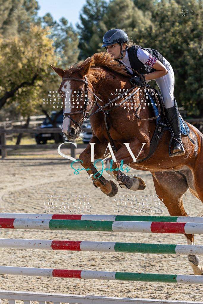 IMG_0154 | s-jay-photography - Realisiert mit Pictrs.com