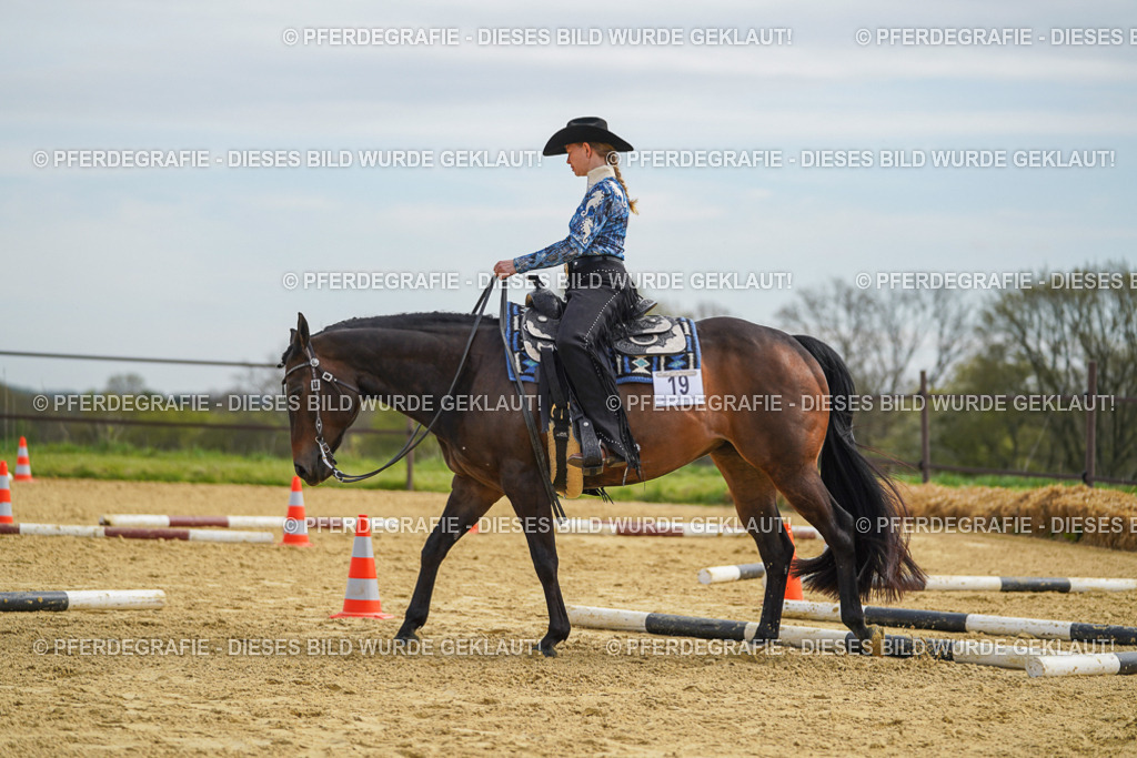 DSC03577 | Pferdegrafie