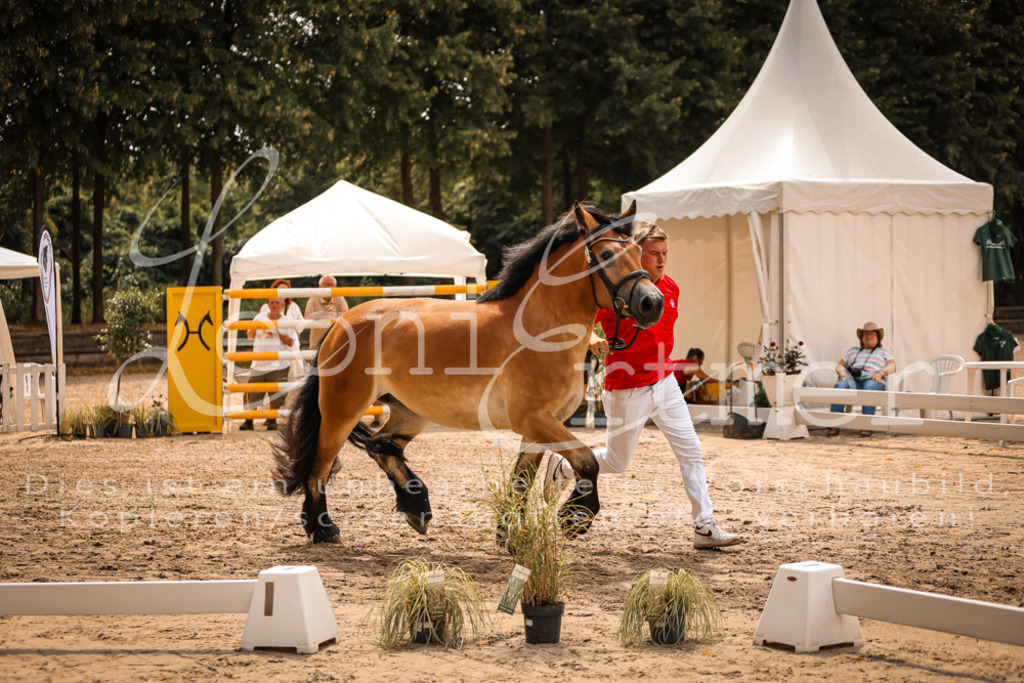 3.Sa00026 | Leoni Ertmer Photography - Realisiert mit Pictrs.com