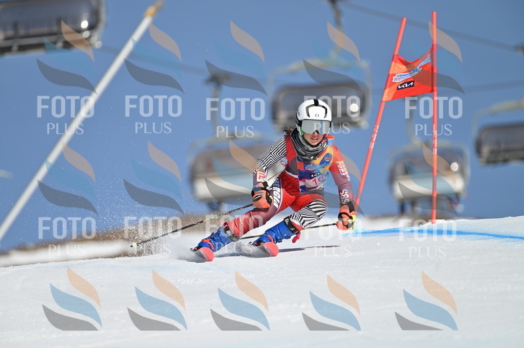 BGV_7866 | holidayphoto