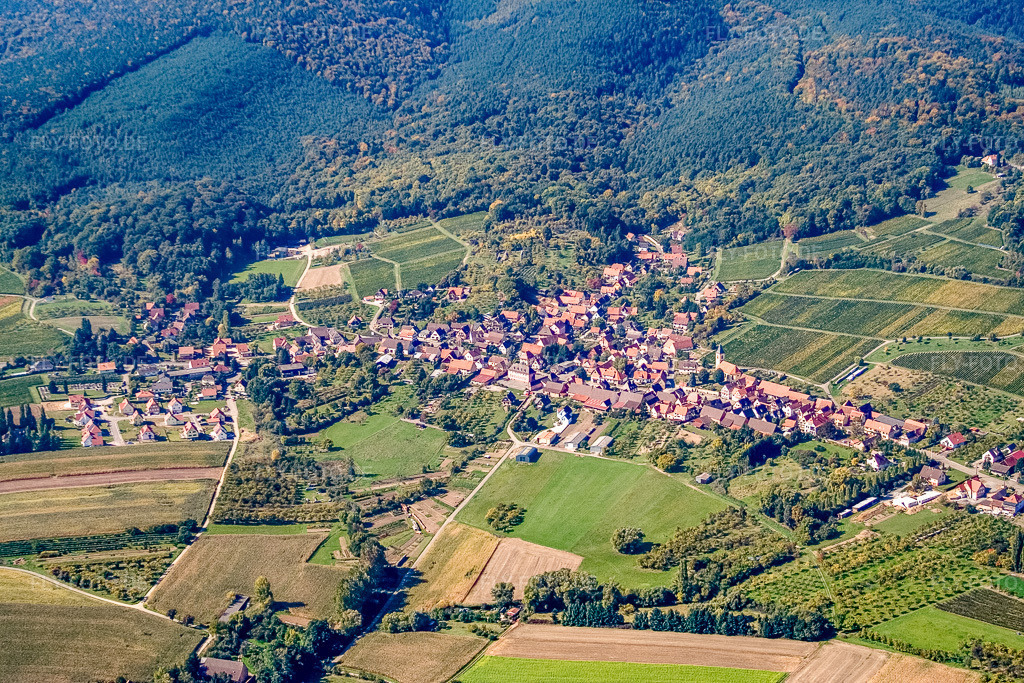 Luftbild: Ortsansicht von Osten in Rott im Bundesland Bas-Rhin in Frankreich. – Foto: IMG_13608.jpg vom 28.09.2008 durch Werner Riehm/FLY-FOTO.de – Auflösung des Originals: 3456 x 2304 px
