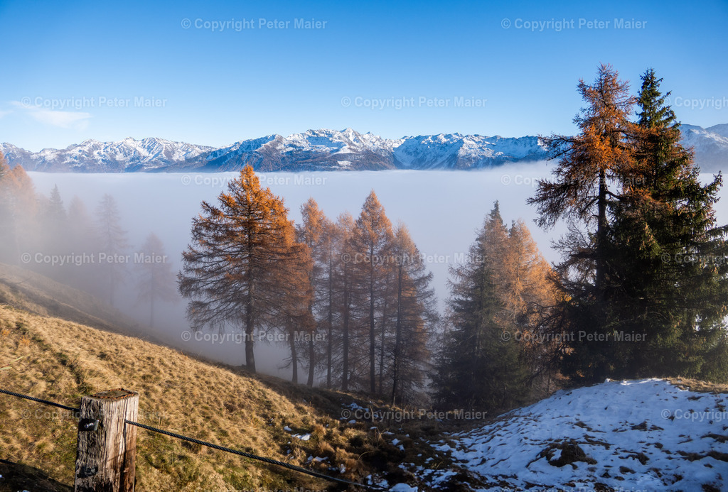 Matererle_Laienkopf_Herbst_25-19 | piet_flosse