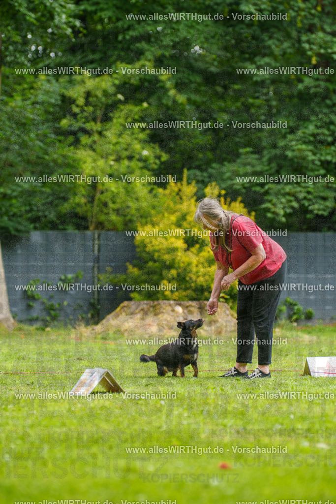 @allesWIRTHgut_Tierfotografie - www.allesWIRTHgut.de - 090428-7R506494 | Professionelle Tierfotografie in Mönchengladbach von Daniel Wirth (allesWIRTHgut). Liebevolle & natürliche Bilder von Hunden & Katzen für unvergessliche Erinnerungen.